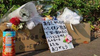 イオンモール熊本