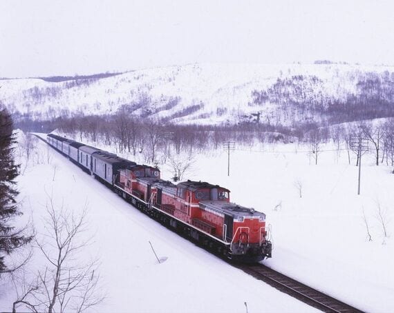 DD51重連 雪景色 急行ニセコ