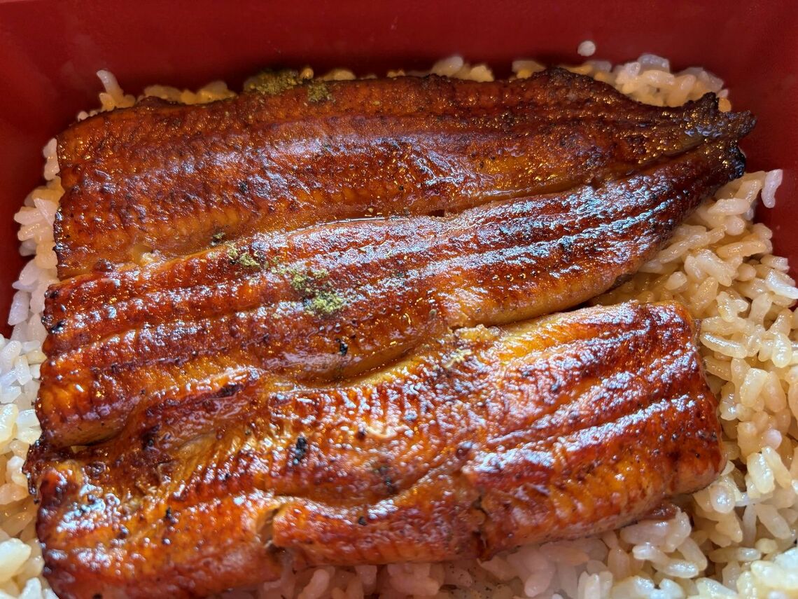 ウナギのかば焼き（写真：筆者提供）