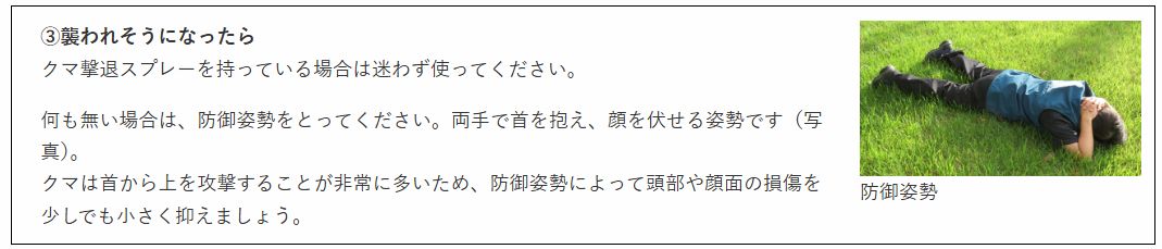 クマによる事故を防ぐ方法