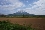 蝦夷富士とも呼ばれる羊蹄山。ニセコ地区のほとんどの場所から望むことができる（写真：筆者撮影）