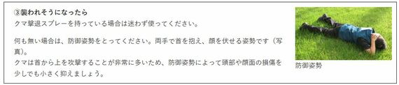 クマによる事故を防ぐ方法
