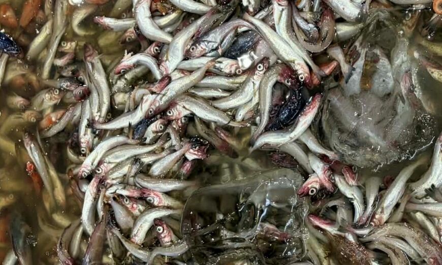 （写真：筆者提供）