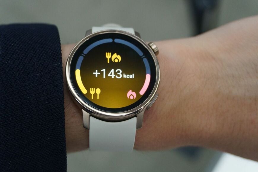 からだメイト Watchのカロリーバランス表示。摂取と消費の収支を手首で確認できる（写真：筆者撮影）