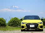 上品なカラー「パイソンイエローメタリック」