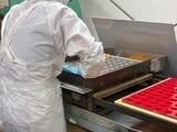 銀色の仕分け板の下に、つらなった赤い容器がセッティングされている（筆者撮影）