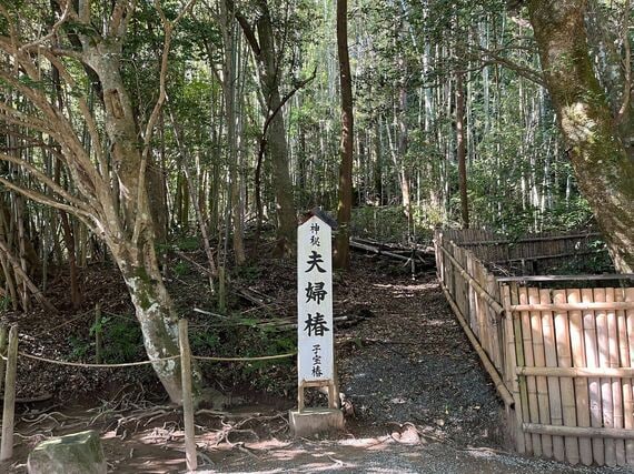 島根