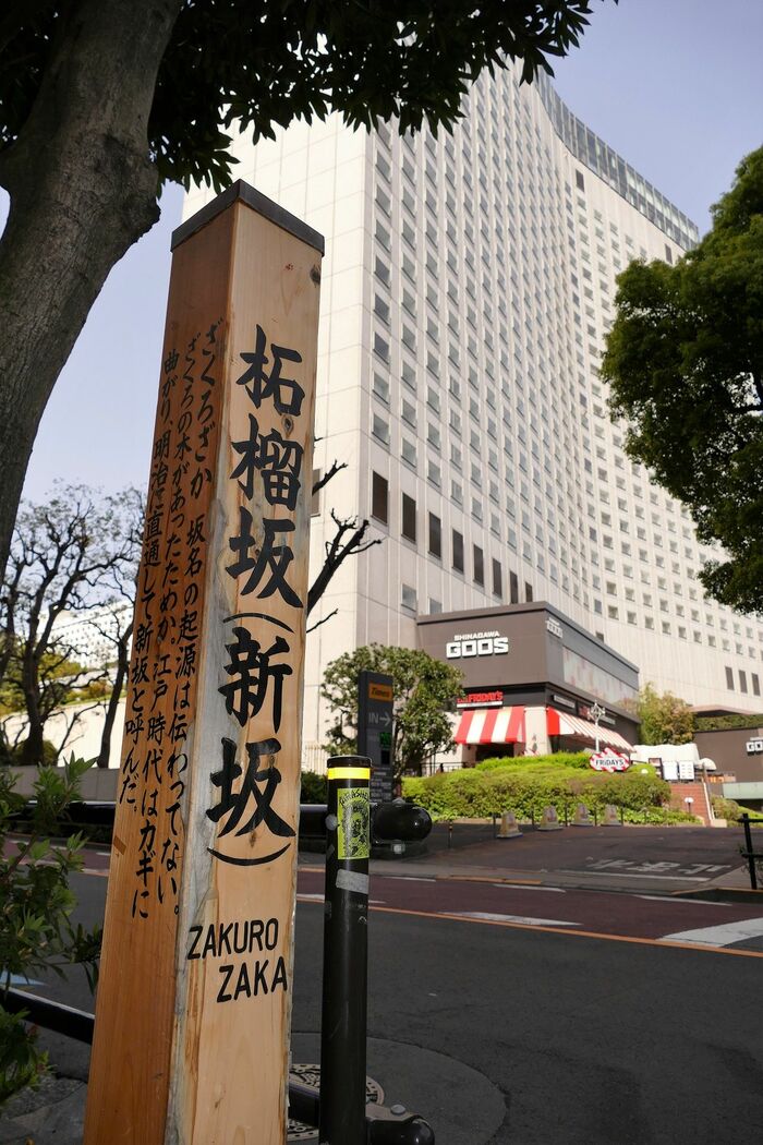 南側の柘榴坂からみたシナガワグース