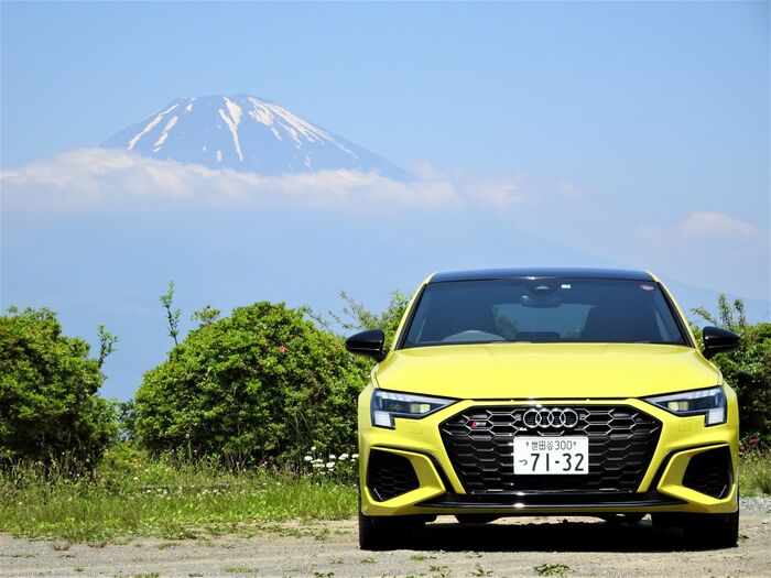 上品なカラー「パイソンイエローメタリック」