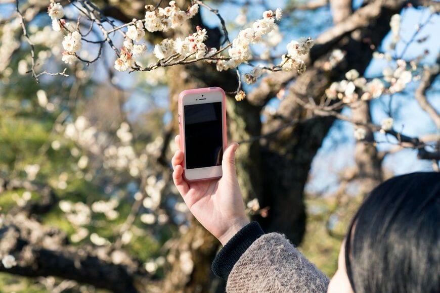 画像を拡大 SNS投稿に熱心になり｢人に見せるための旅」｣なりかけていることも(写真： AH86 / PIXTA)