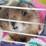 （写真：まる子さん提供）
