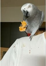 （写真提供：カマタさん）