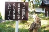 （写真提供：ゲンさん）