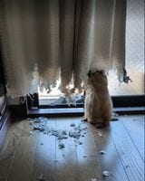 （写真：まる子さん提供）