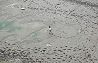 インドの性暴行､語られぬ｢少年被害｣の内実 同性愛者によるレイプが多発している