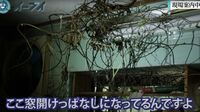 ｢ゴミ屋敷の実家を片付け｣母が説得に応じたワケ 15年放置で動物やゴキブリまみれの状態に…