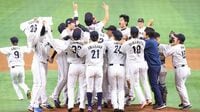 WBCネトフリ独占中継に批判殺到する日本の事情