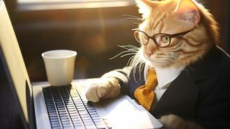 助けてもらえる人は会食の御礼メールいつ送る？