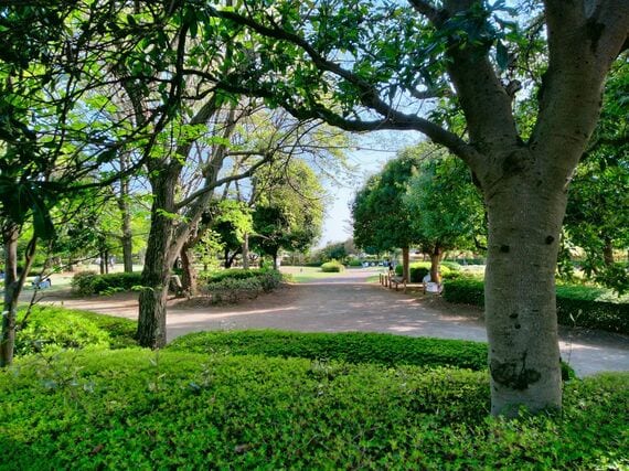 「きたみふれあい広場」