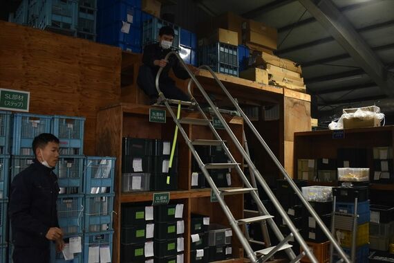 伸縮はしご 伸ばした状態