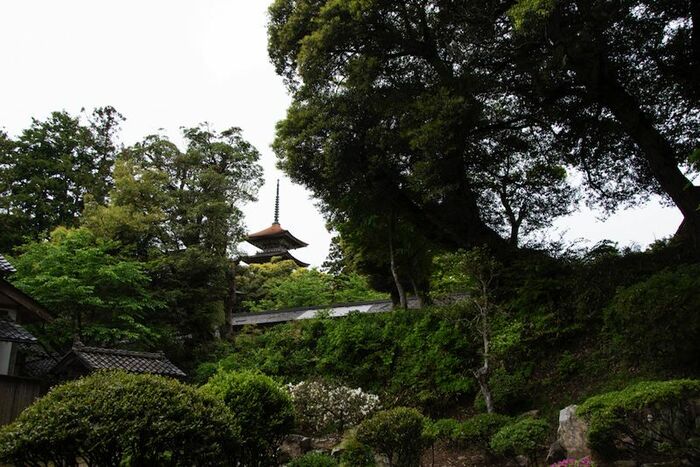 美しい五重塔で有名な妙成寺も参拝可能