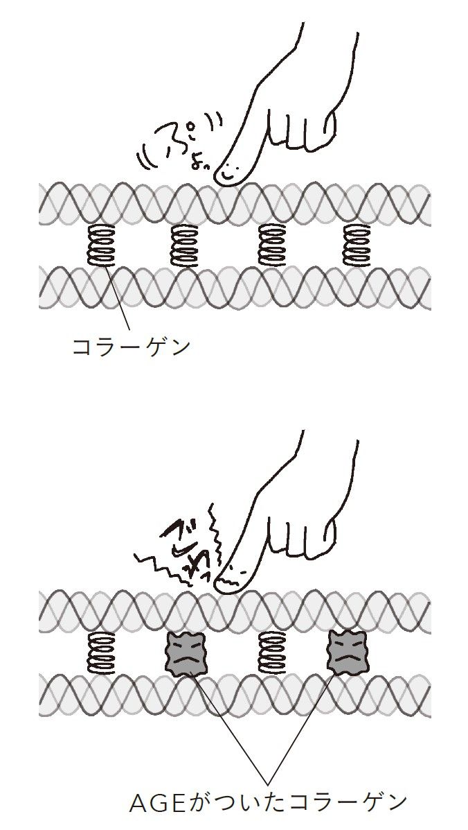 （出所：『「老いても元気な人」と「どんどん衰えていく人」ではなにが違うのか』より）