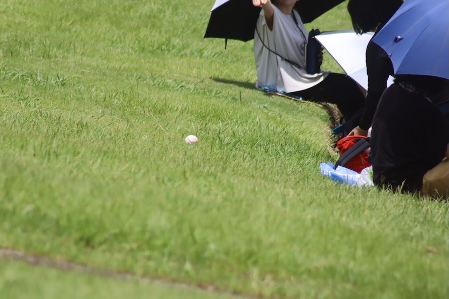 大阪府大会 炎天下、日傘をさして観戦（写真：筆者撮影）