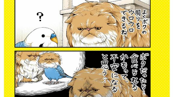 ニャーゴとピュロロロ