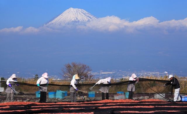 特産品で地方創生ができるという 幻想 地方創生のリアル 東洋経済オンライン 経済ニュースの新基準