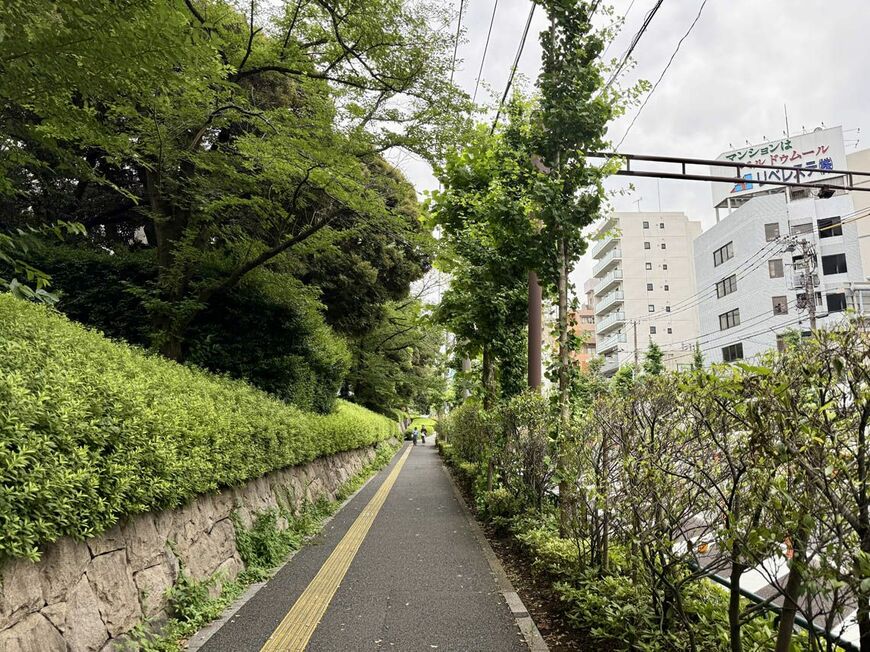 本郷通り沿いには飛鳥山公園の緑が生い茂り…（写真：筆者撮影）