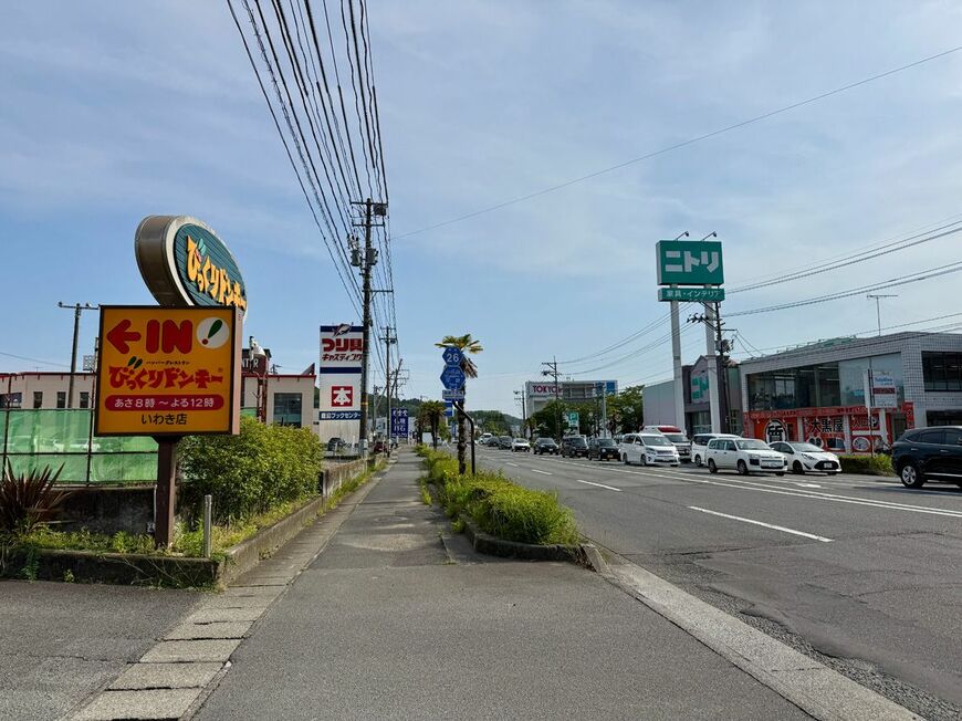 ニトリ、東京インテリア、びっくりドンキー、釣り具のキャスティングなどチェーン店が集積している（写真：筆者撮影）