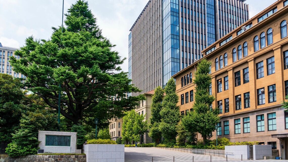 早稲田大学と慶應義塾大学にダブル合格した受験生が選ぶのは……受験生が支持する「大学改革」の姿勢（写真：haku／PIXTA）
