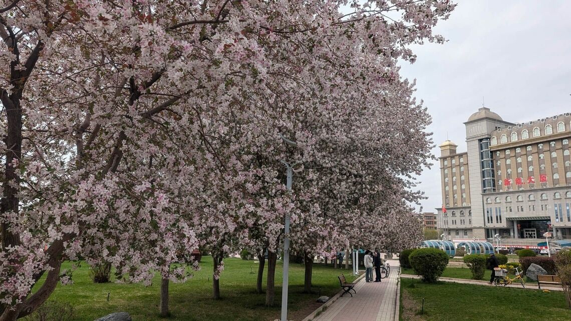公園