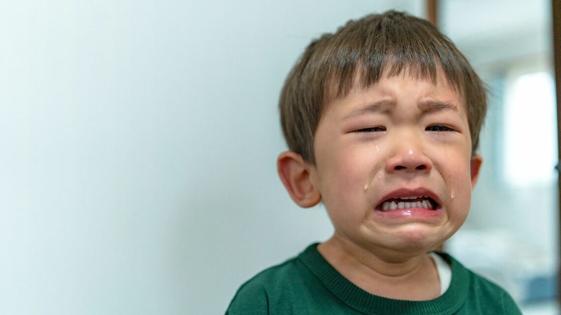 東洋経済の記事をAIで再構成：オリジナル記事の写真ギャラリーを徹底解説