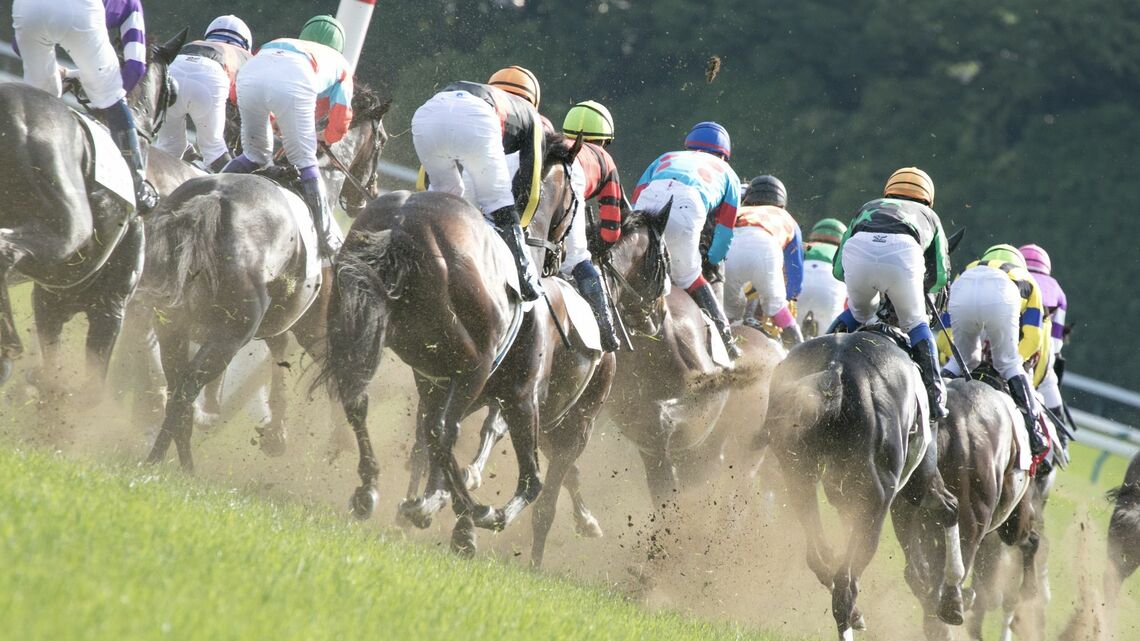 競走馬