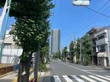 低層の住宅街とタワマン
