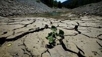 常態化する｢異常気象｣が農作物にもたらす大惨事 過去最大の干ばつ頻発､穀物生産は長期減少へ