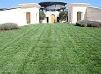 セパージュ時代の到来（2）作品第一：オーパス・ワン《ワイン片手に経営論》第16回