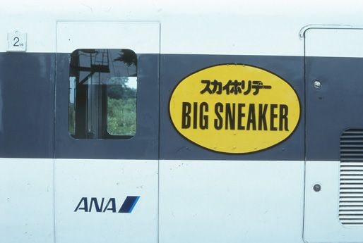 ANAのツアー列車として走った