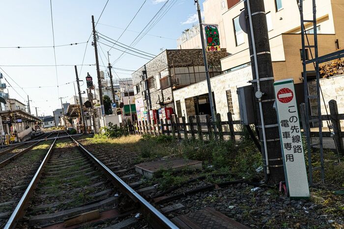 雪が降ると間違えて線路内に進入してくる