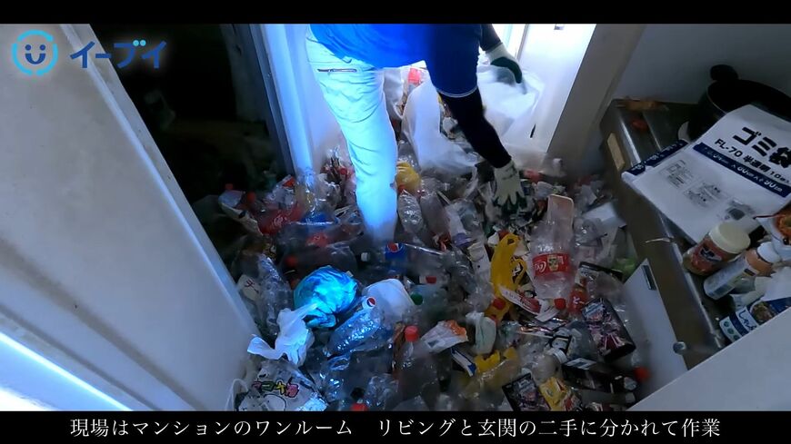 （画像：「イーブイ片付けチャンネル」より）