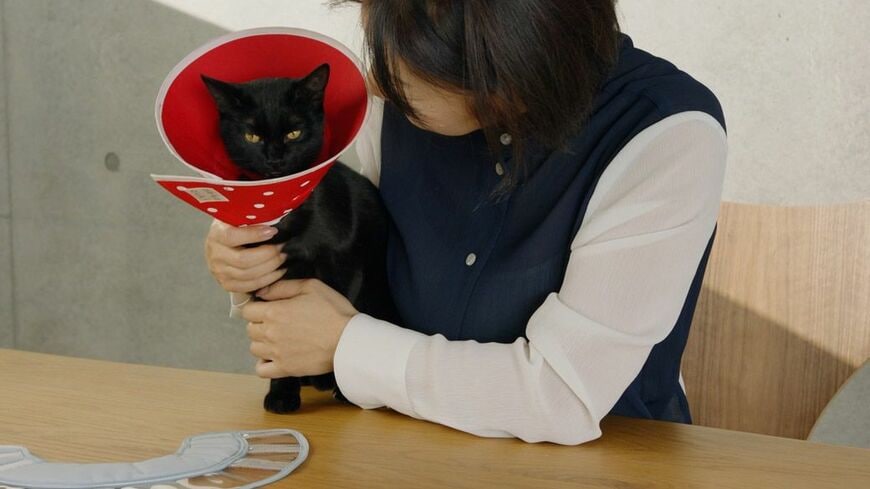 （写真：クロス・クローバー・ジャパン）