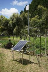ソーラー付きゲートウェイ装置（柱の上部）。田んぼから少し離れたところに設置、太陽光発電パネルで電源を取っている（写真：堂前さん提供）