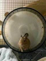 （写真：みきさん）