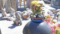 愛するペットが死んだら｢燃えるゴミ｣なのか ペットを弔いたいという飼い主は増えている