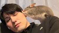 ｢2年間物件探し｣｢100万貯金｣チンチラを飼うまで