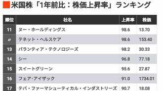 AI銘柄が続々､米国株｢株価上昇率｣ランキング