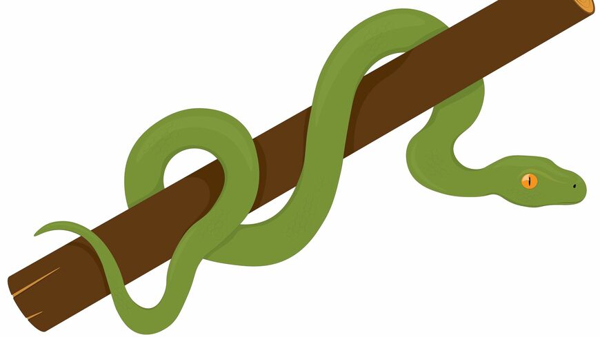 女性の飼い主が大切に育てていたヘビの死因とは――（イラスト：DianaWolfskin／PIXTA）