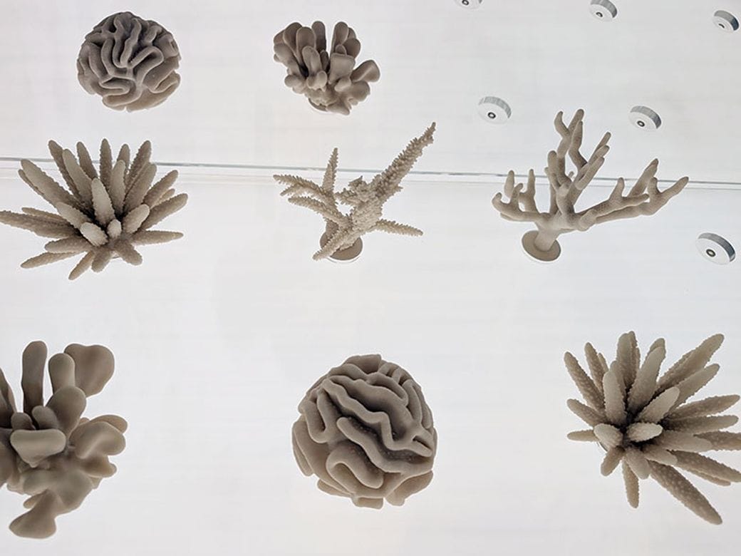 環境保全の取り組みに3Dプリンター技術が活用されている（撮影／SUUMOジャーナル編集部）