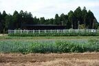 自慢の農園は365日、何らかの野菜の収穫が可能